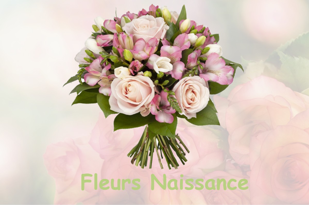 fleurs naissance LASSEUBE-PROPRE