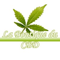 LA BOUTIQUE DU CBD LASSEUBE-PROPRE 